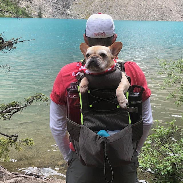 A hiker with a dog in a backpack around Lake Louise